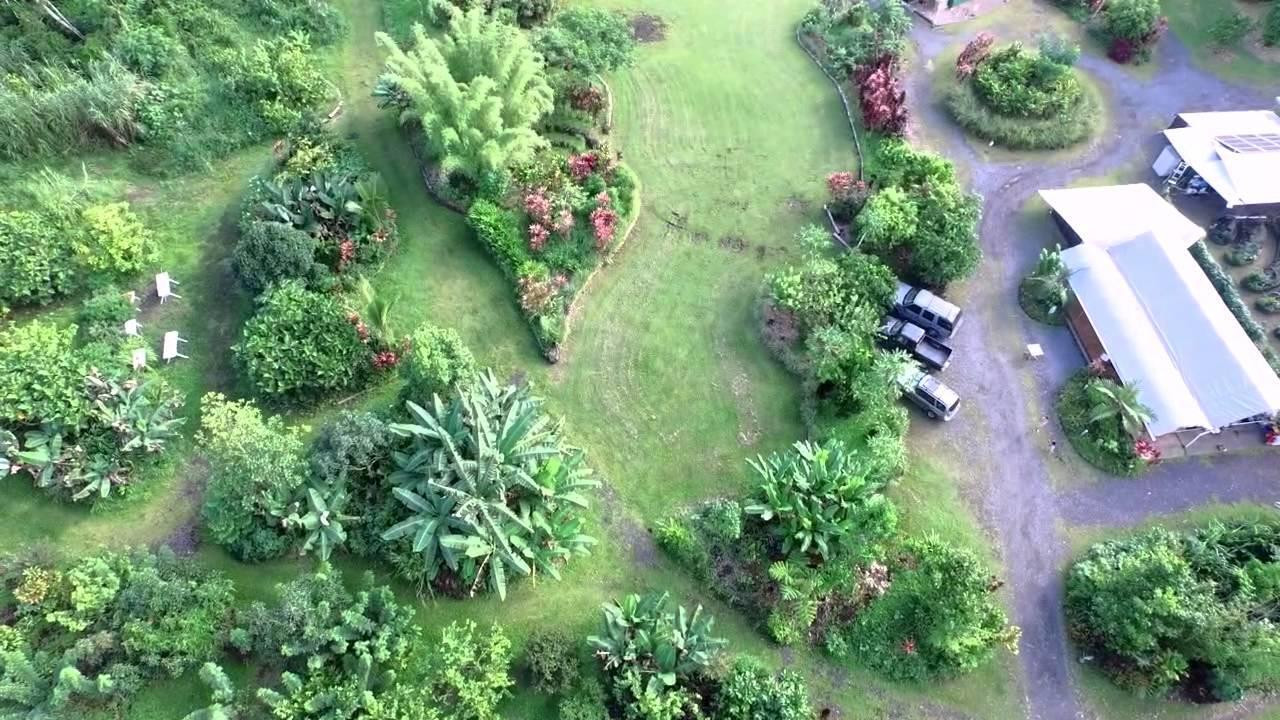 Hawaiian Sanctuary Eco Retreat Center Villa Pahoa ภายนอก รูปภาพ