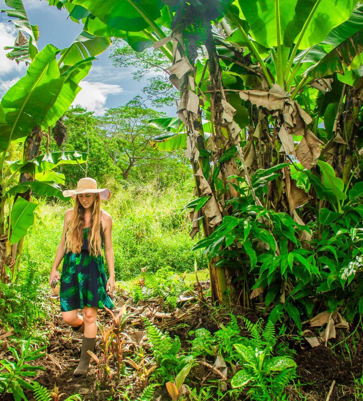 Hawaiian Sanctuary Eco Retreat Center Villa Pahoa ภายนอก รูปภาพ
