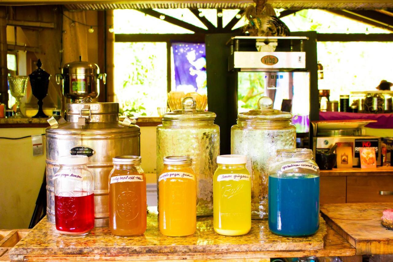 Hawaiian Sanctuary Eco Retreat Center Villa Pahoa ภายนอก รูปภาพ